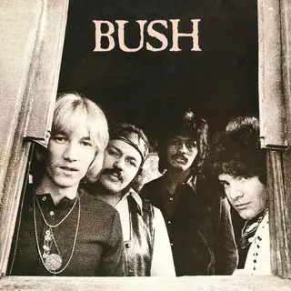 Bush Bush (CD)