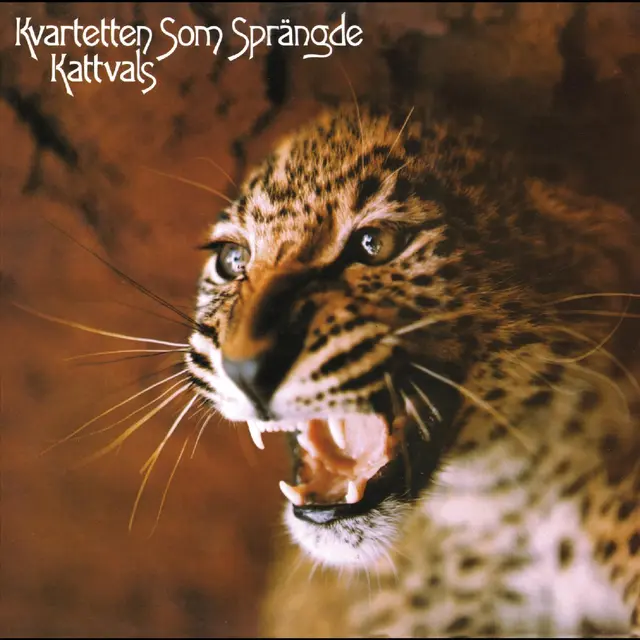 Kvartetten Som Sprängde Kattvals: Deluxe Edition - LTD (LP) 