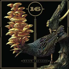 16 Dream Squasher - LTD (LP)