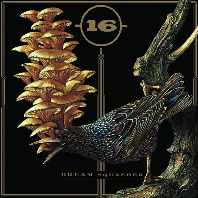 16 Dream Squasher - LTD (LP) 