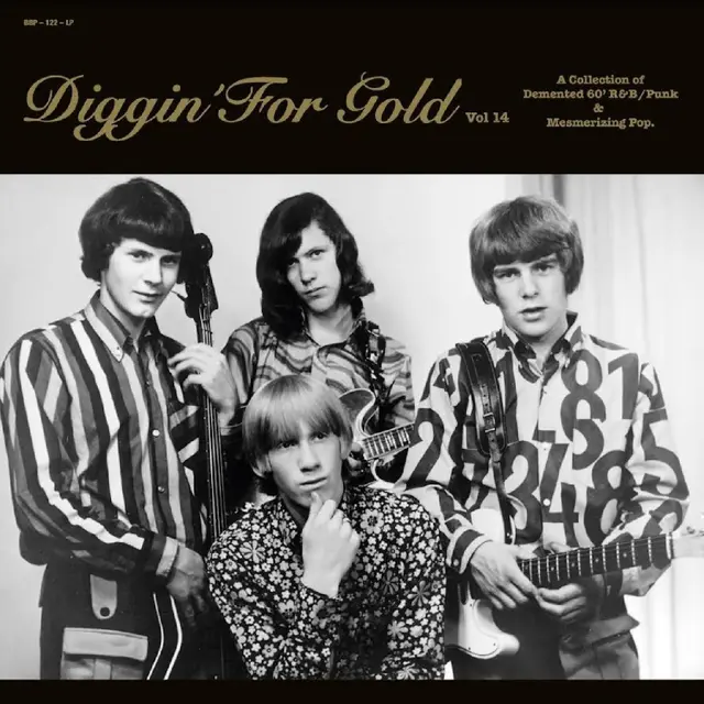 Diverse Artister Diggin' For Gold Vol. 14 (LP) 