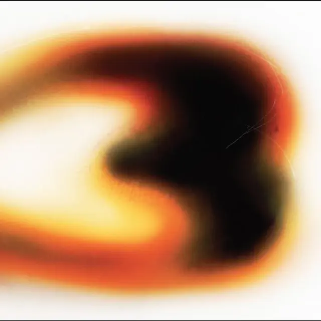 Still House Plants If I Don't Make It, I Love U (LP) 