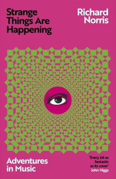 Richard Norris Strange Things Are Happening (BOK)