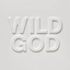 Nick Cave &amp; The Bad Seeds Wild God (CD)