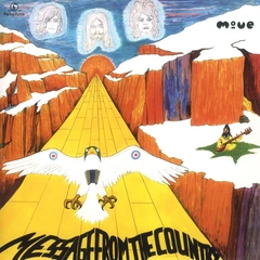 The Move Message From The Country - LTD (LP)