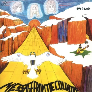 The Move Message From The Country - LTD (LP)