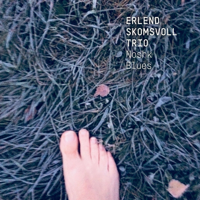 Erlend Skomsvoll Trio Noshk Blues (LP) 