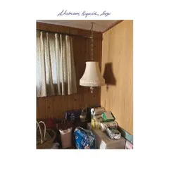 Shabason, Krgovich, Sage Shabason, Krgovich, Sage (LP)