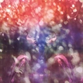 Maybeshewill Fair Youth: 10th Anniversary… - LTD (LP)