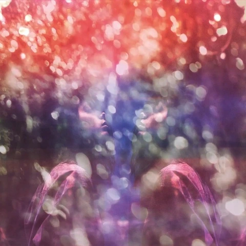 Maybeshewill Fair Youth: 10th Anniversary… - LTD (LP) 