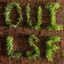 Les Savy Fav OUI, LSF (CD)