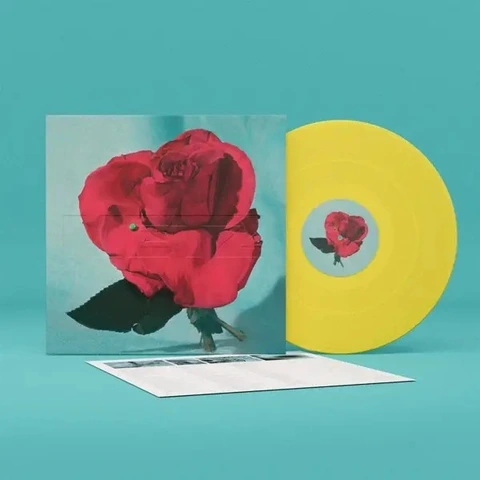 METZ Up On Gravity Hill - LTD (LP) 
