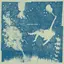 Iron &amp; Wine Light Verse - LTD (LP)
