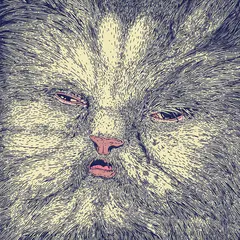 Corridor Mimi - LTD (LP)