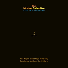 The Nimbus Collective Live In Lotusland (3LP)