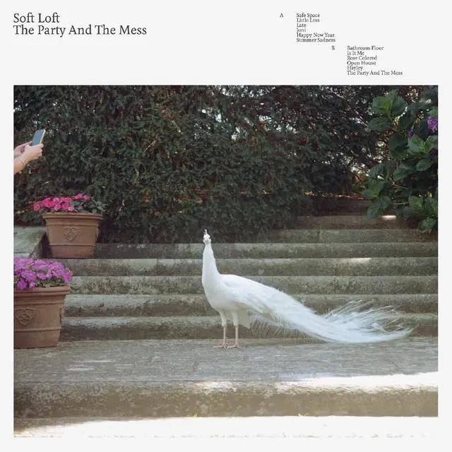 Soft Loft The Party And The Mess (LP) 