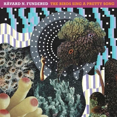 Håvard N. Funderud The Birds Sing A Pretty Song (LP)
