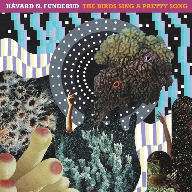 Håvard N. Funderud The Birds Sing A Pretty Song (LP) 
