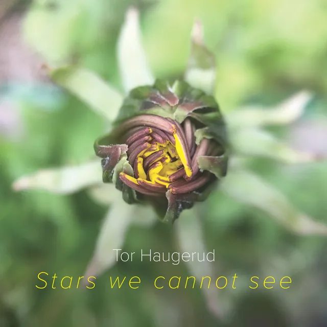 Tor Haugerud Stars We Cannot See (LP) 