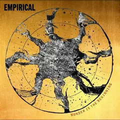 Empirical Wonder Is The Beginning (LP)