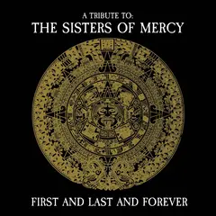 Diverse Artister First And Last And Forever… - LTD (LP)