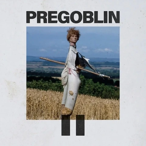 Pregoblin Pregoblin II - LTD (LP) 