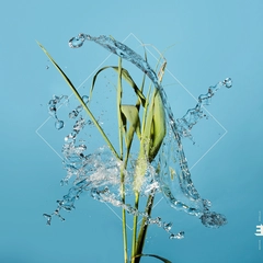 Fergus McCreadie Stream - LTD (LP)