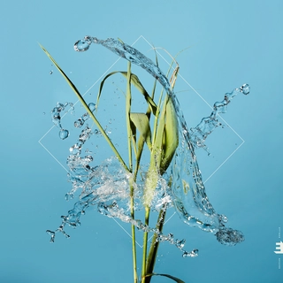 Fergus McCreadie Stream - LTD (LP)
