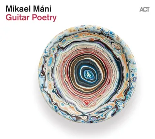Michael Mani Guitar Poetry (LP)