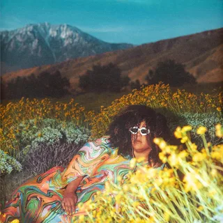 Brittany Howard What Now - LTD (LP)