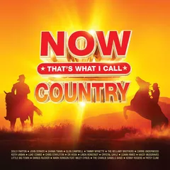 Diverse Artister Now That's What I Call Country (3LP)