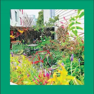 The Reds, Pinks And Purples Unwishing Well - LTD (LP)