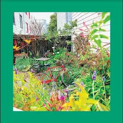 The Reds, Pinks And Purples Unwishing Well (CD)