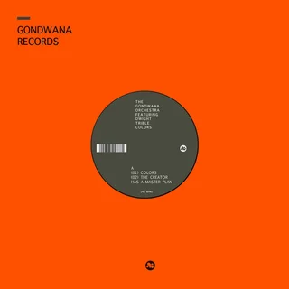 Matthew Halsall &amp; The Gondwana Orchestra Colors (12")