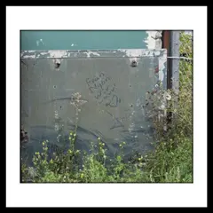 Avantgardet Från Nybro Wiv Lavv (LP)
