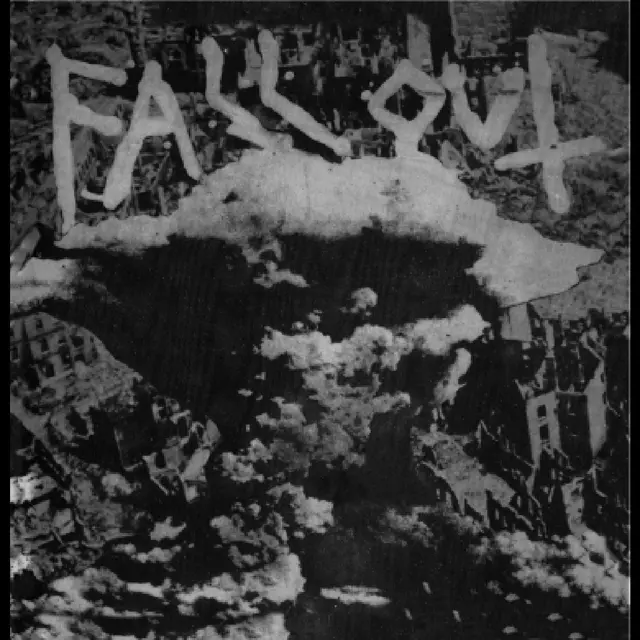 Fall Out Criminal World Plus Unreleased… (LP) 