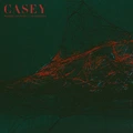Casey Where I Go When I Am Sleeping - LTD (LP)