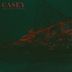 Casey Where I Go When I Am Sleeping - LTD (LP)
