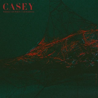 Casey Where I Go When I Am Sleeping - LTD (LP)
