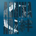Abhinanda Complete Discography - LTD (5LP)