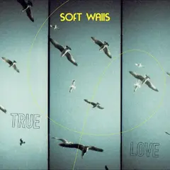 Soft Walls True Love - LTD (LP)