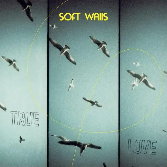 Soft Walls True Love - LTD (LP) 