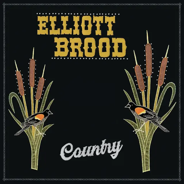 Elliott Brood Country (LP) 