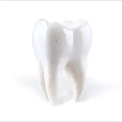 Porij Teething (LP)