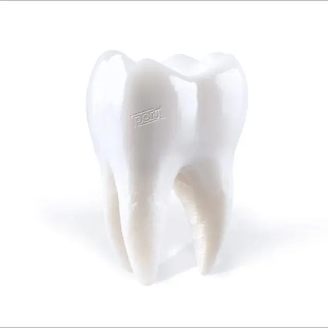 Porij Teething (LP) 