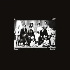 A Lily Saru L-Qamar (LP)