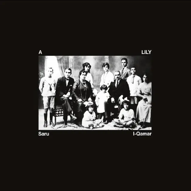 A Lily Saru L-Qamar (LP) 