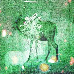 Ghost Lemurs Wombs And Alien Spirits (LP)