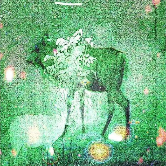 Ghost Lemurs Wombs And Alien Spirits (LP) 