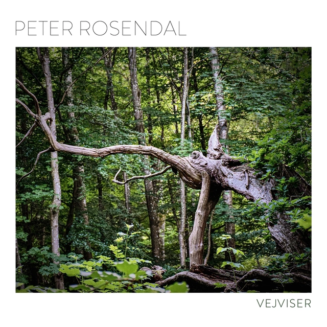Peter Rosendal Vejviser (LP) 